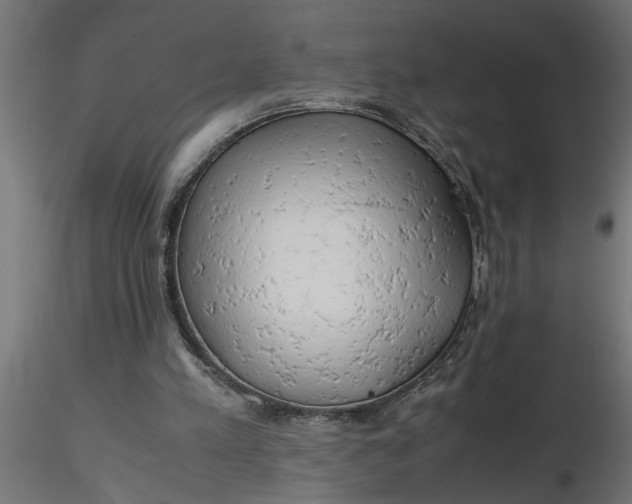 X0000116660197200912291644