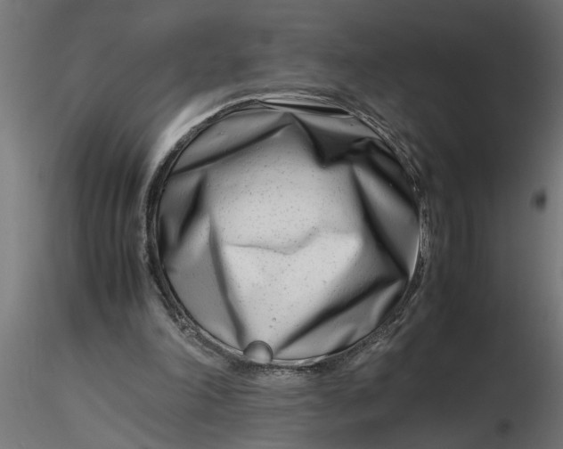 X0000116660198200912291644