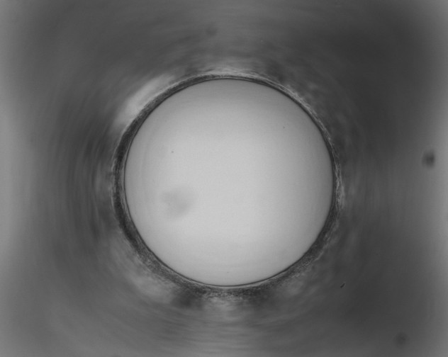 X0000116660199200912291644