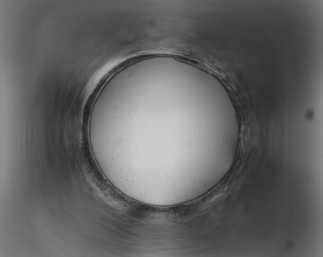 X0000116660200200912291644