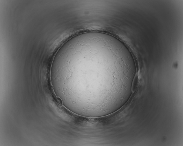 X0000116660201200912291644