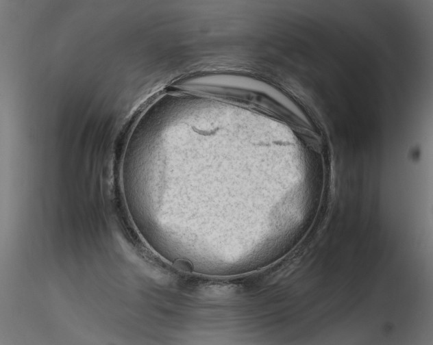 X0000116660202200912291644