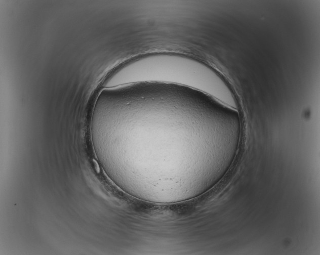 X0000116660203200912291644