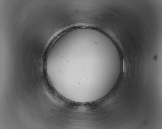 X0000116660204200912291644