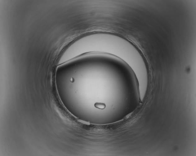 X0000116660205200912291644