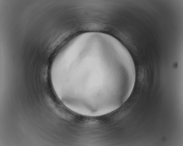 X0000116660206200912291644