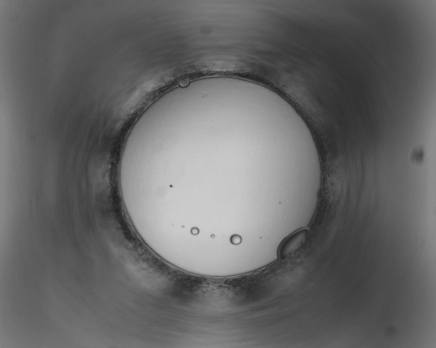 X0000116660207200912291644