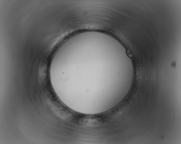 X0000116660208200912291644