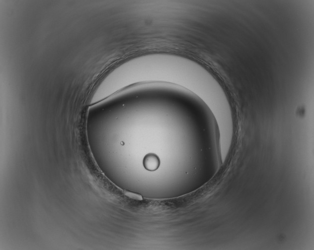 X0000116660209200912291644