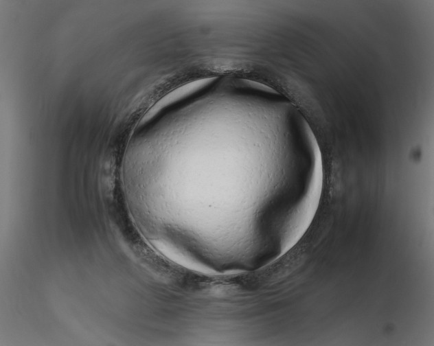 X0000116660210200912291644