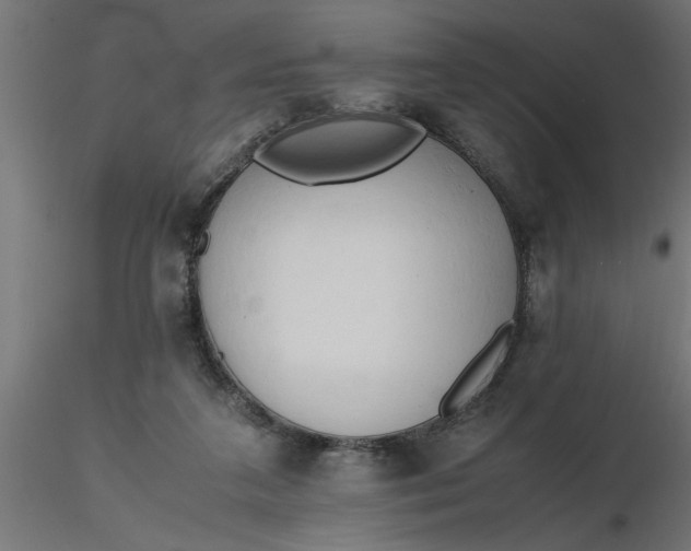 X0000116660211200912291644