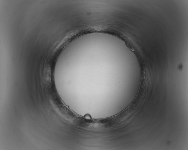 X0000116660212200912291644