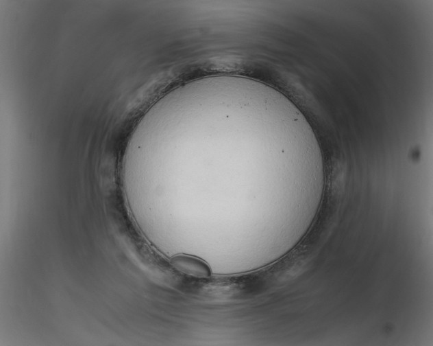 X0000116660213200912291644