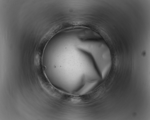 X0000116660214200912291644