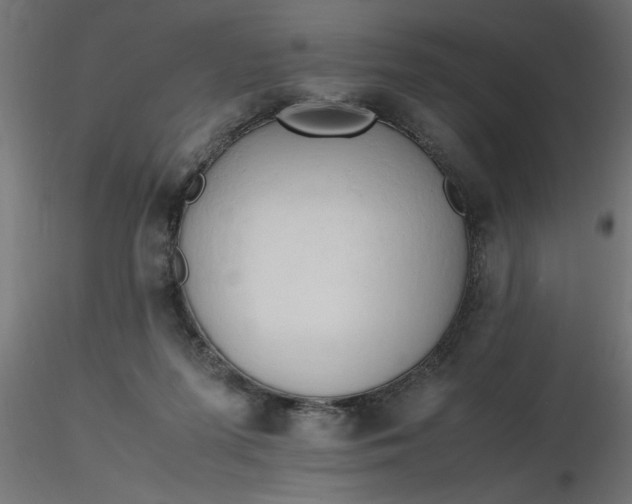 X0000116660215200912291644