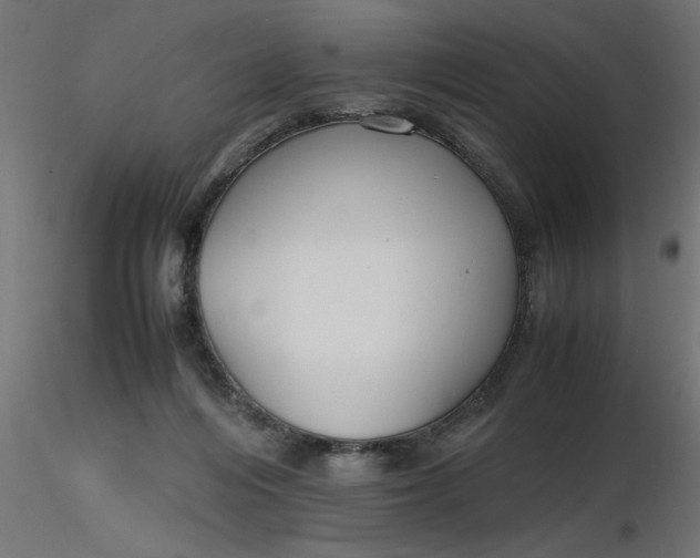 X0000116660216200912291644