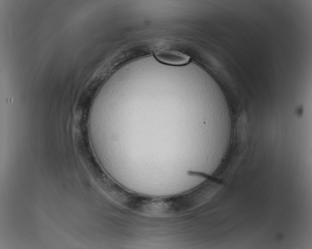 X0000116660217200912291644