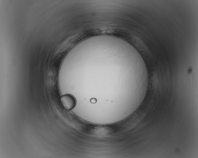 X0000116660218200912291644