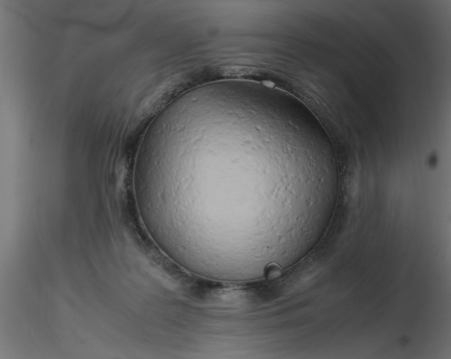 X0000116660219200912291644