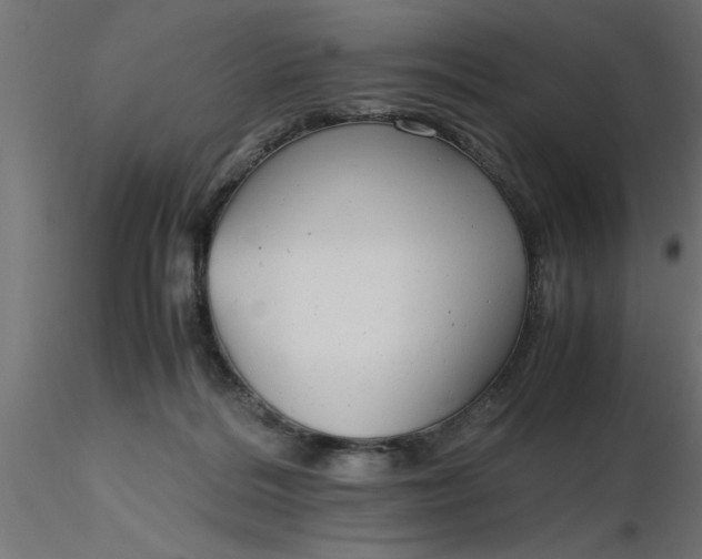 X0000116660220200912291644