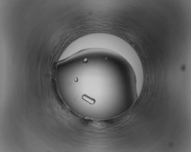 X0000116660221200912291644