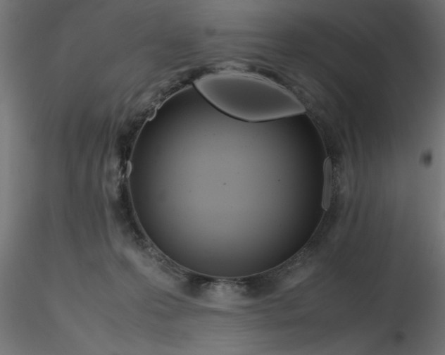 X0000116660223200912291644