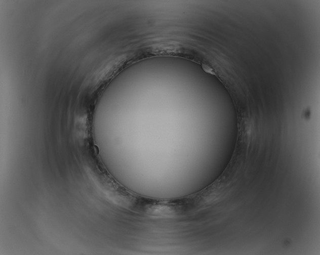 X0000116660224200912291644