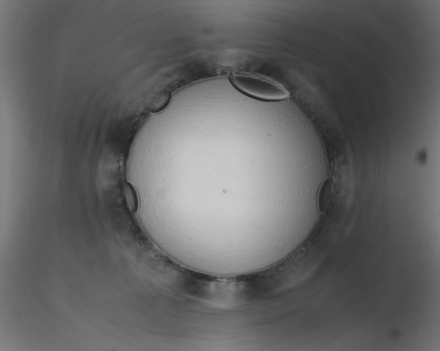 X0000116660225200912291644