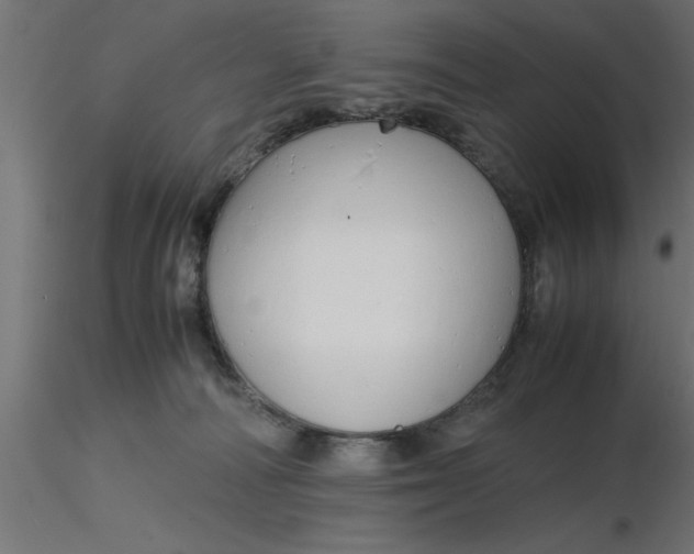 X0000116660226200912291644