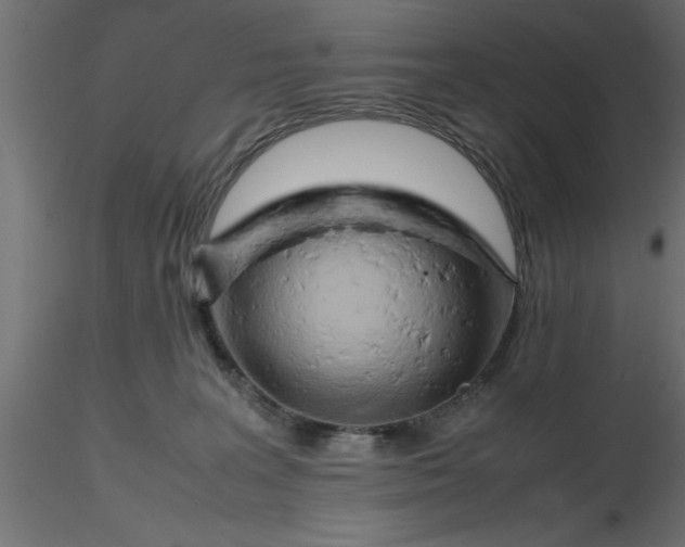 X0000116660227200912291644