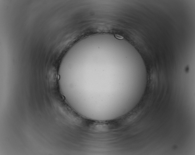 X0000116660228200912291644