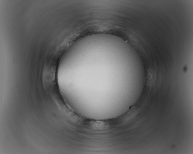 X0000116660230200912291644