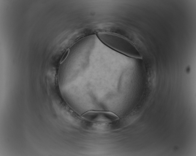 X0000116660231200912291644