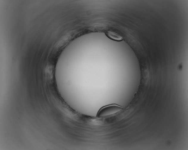 X0000116660232200912291644