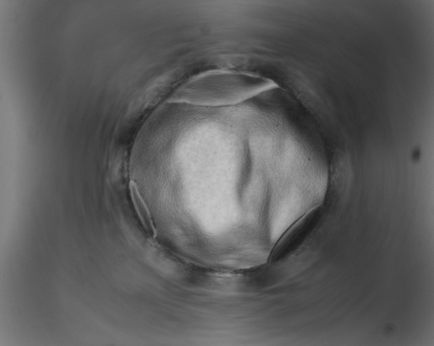 X0000116660233200912291644