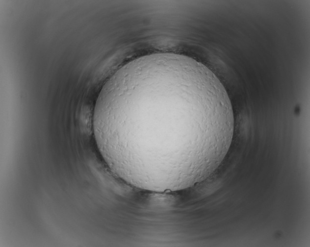 X0000116660234200912291644