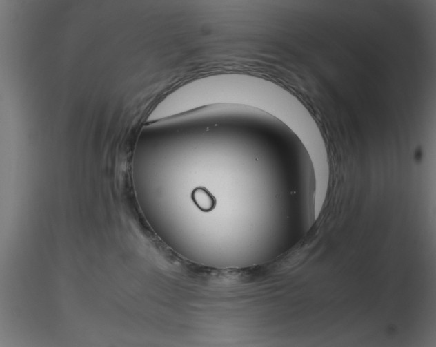 X0000116660235200912291644