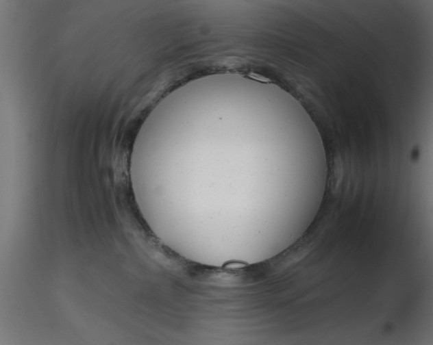 X0000116660236200912291644