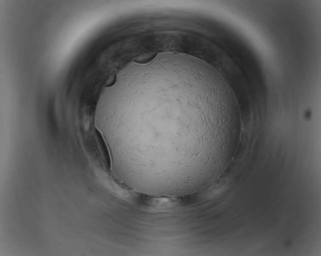 X0000116660239200912291644