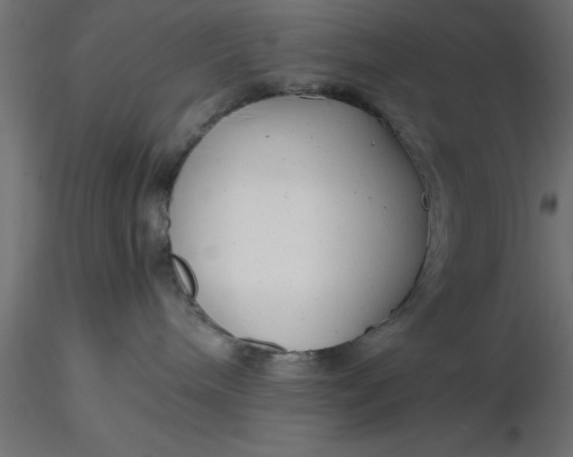 X0000116660240200912291644