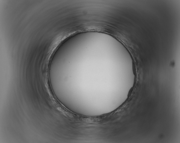 X0000116660241200912291643