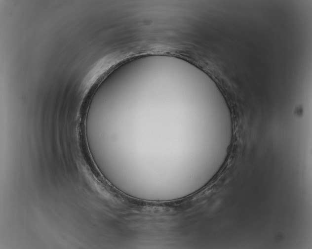 X0000116660242200912291643