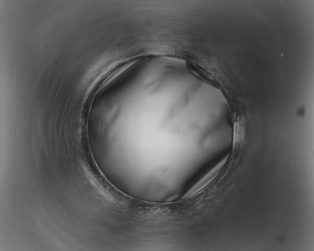 X0000116660243200912291643