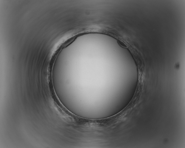 X0000116660244200912291643