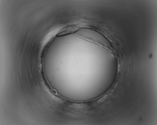 X0000116660245200912291643