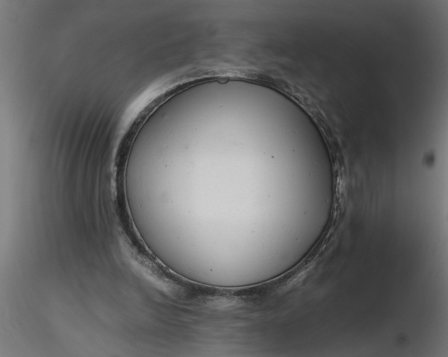 X0000116660246200912291643