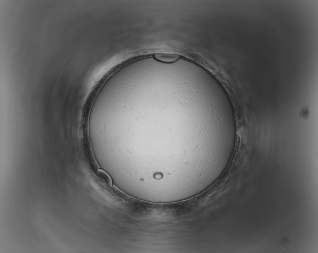 X0000116660248200912291643