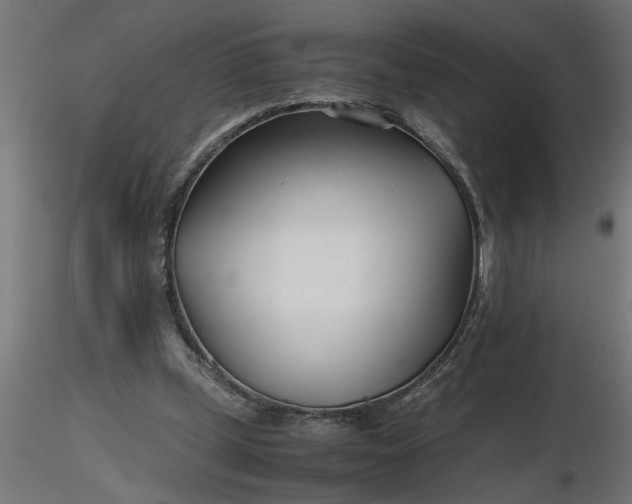 X0000116660249200912291643