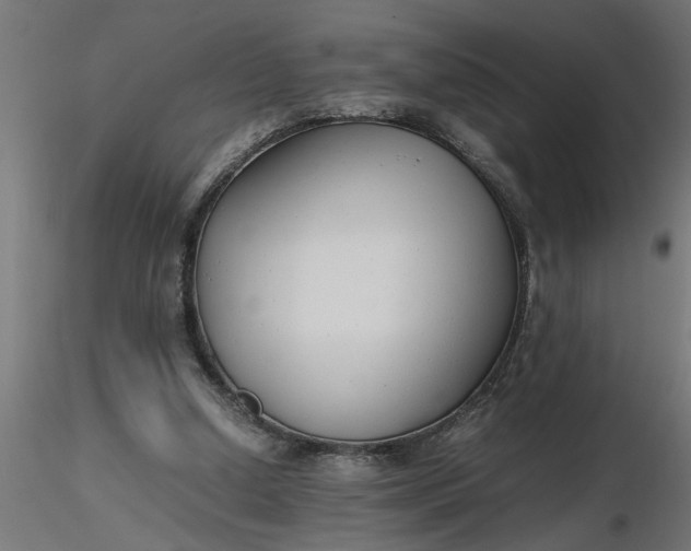 X0000116660250200912291643