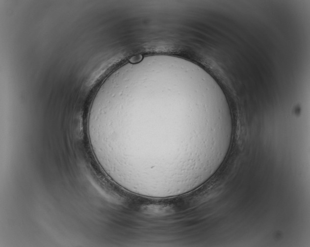 X0000116660251200912291643